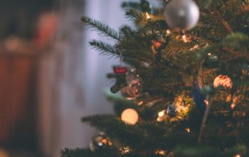 Pre-lit Christmas trees: frequently asked questions