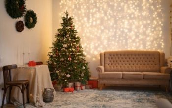 Most affordable Christmas trees you can find on the market