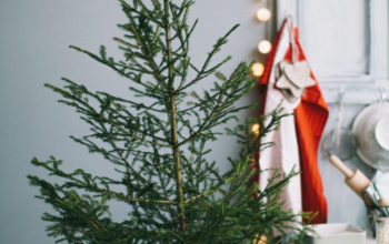 The Ultimate Guide to Decorating Your Prelit Christmas Tree