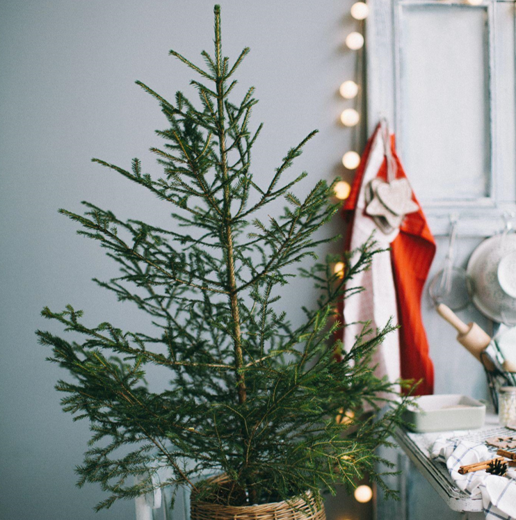 The Ultimate Guide to Decorating Your Prelit Christmas Tree
